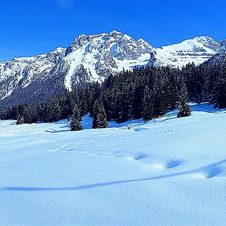 Campiglio Trilocale Monte Spinale